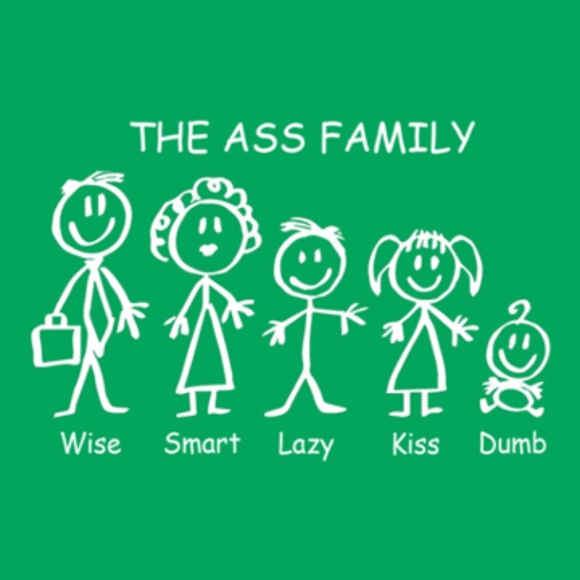 Gildan Other - Funny T-Shirt small-xl Funny Tshirt Funny Shirt